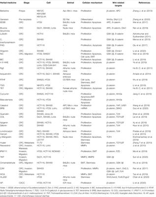 Potential Role of Traditional Chinese Medicines by Wnt/β-Catenin Pathway Compared With Targeted Small Molecules in Colorectal Cancer Therapy